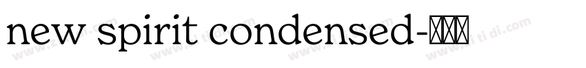 new spirit condensed字体转换 new spirit condensed字体转换